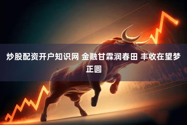 炒股配资开户知识网 金融甘霖润春田 丰收在望梦正圆