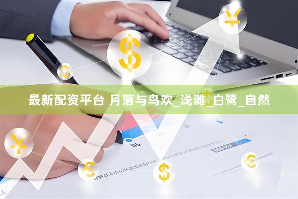 最新配资平台 月落与鸟欢_浅滩_白鹭_自然