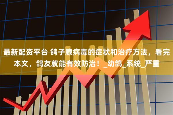 最新配资平台 鸽子腺病毒的症状和治疗方法，看完本文，鸽友就能有效防治！_幼鸽_系统_严重